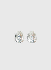 Cameliah Earrings Silver