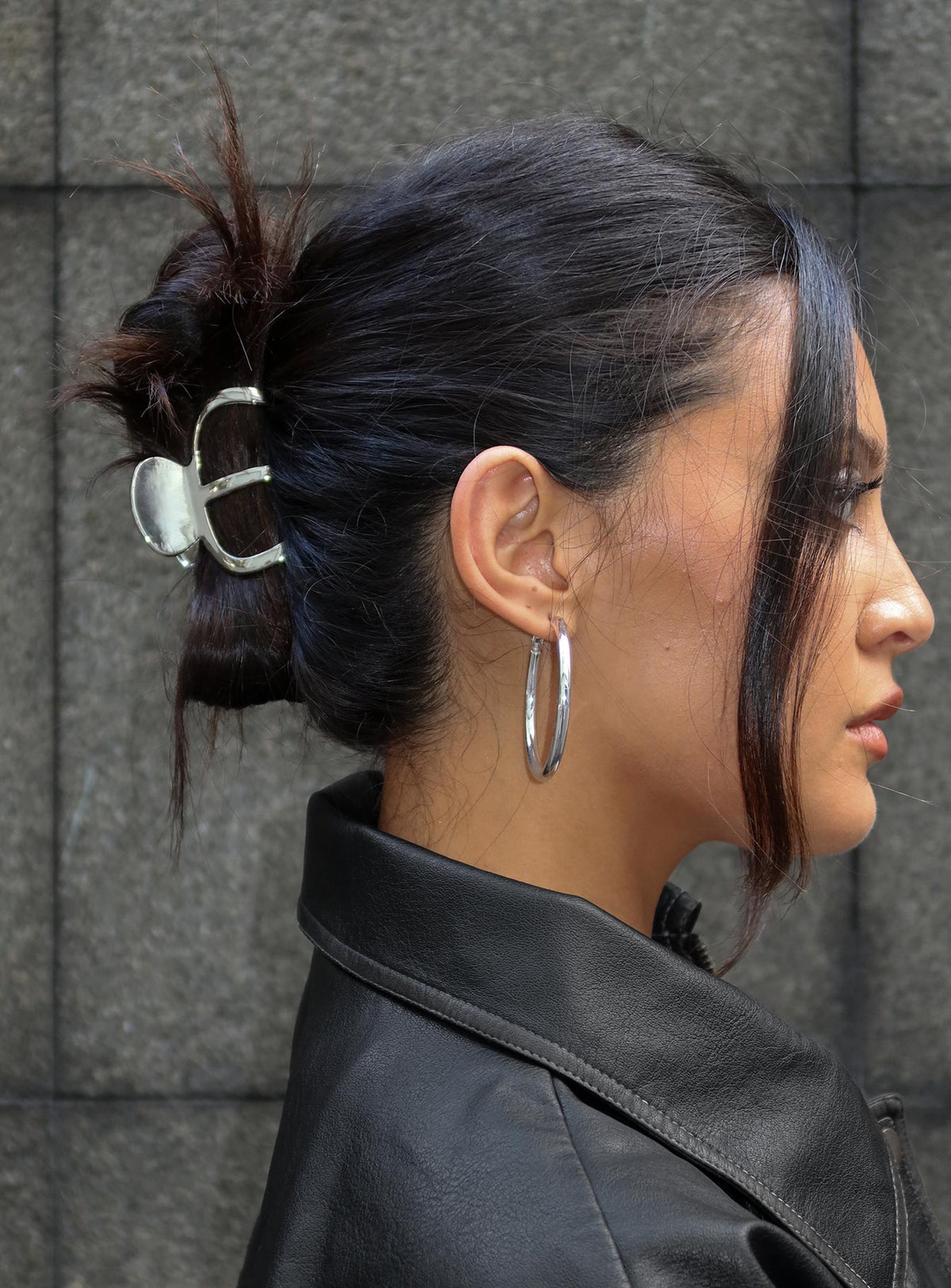 Swain Claw Clip Silver